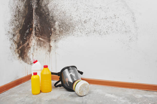 Best Crawl Space Mold Removal  in Palouse, WA