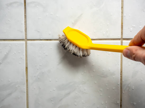 Best Mold Cleaning Services  in Palouse, WA