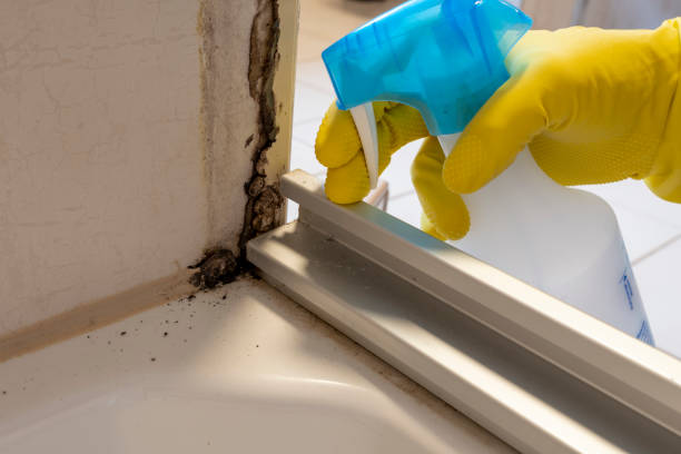 Best Mold Testing  in Palouse, WA